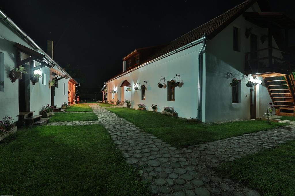 Pensiunea Casa Canda Salasu de Sus Exteriör bild