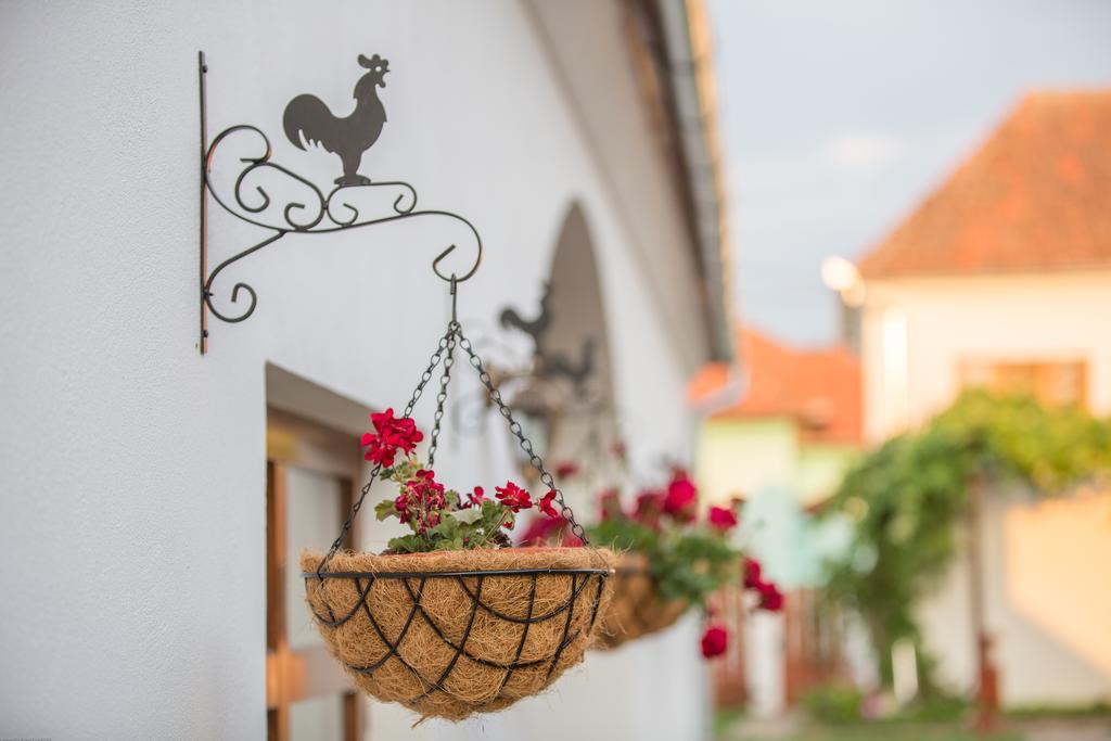 Pensiunea Casa Canda Salasu de Sus Exteriör bild