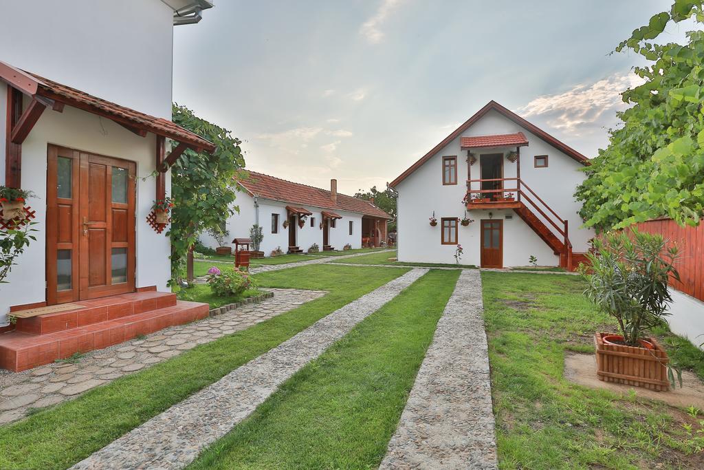 Pensiunea Casa Canda Salasu de Sus Exteriör bild